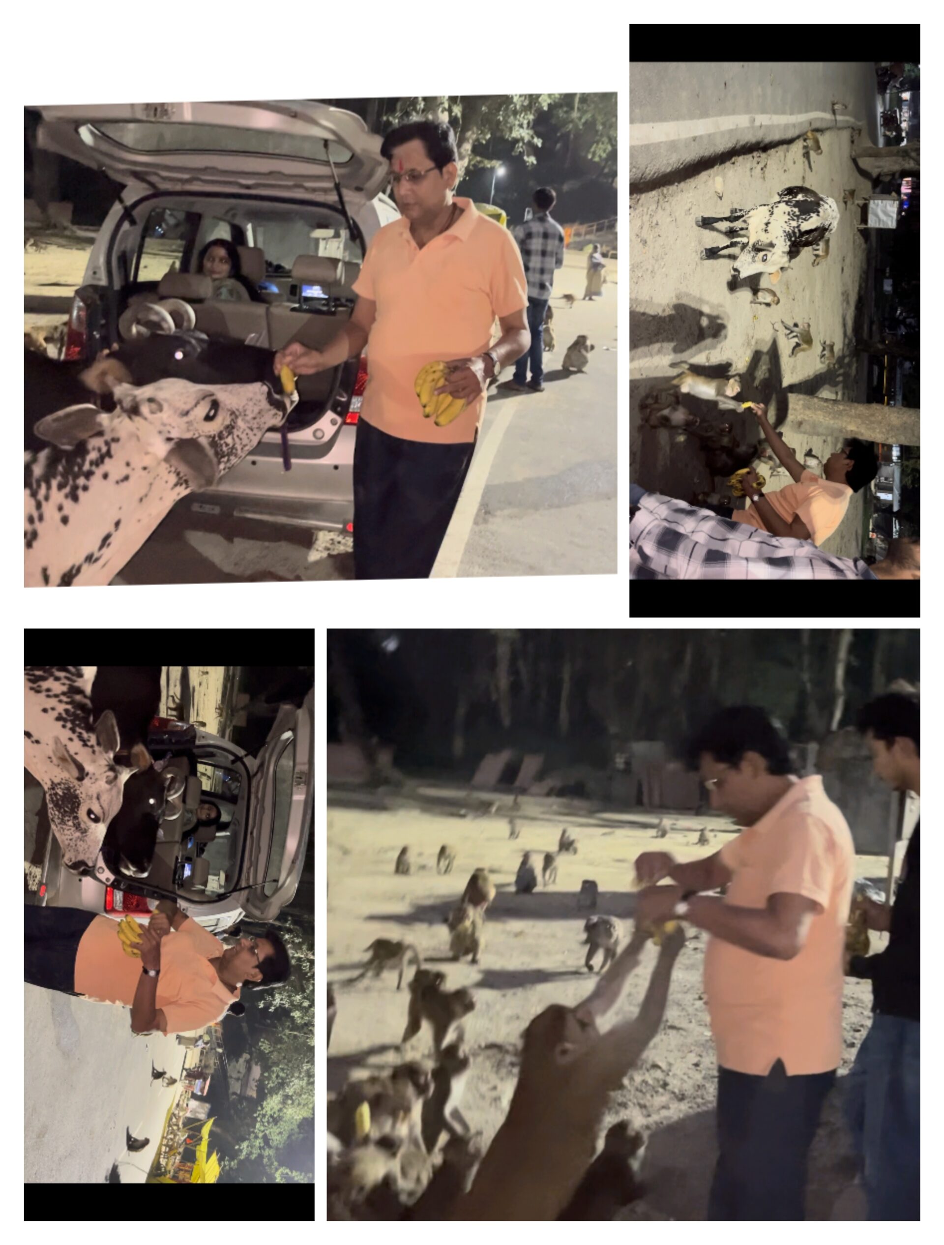 TRUST DWARA PRAANIYON KI SEVA